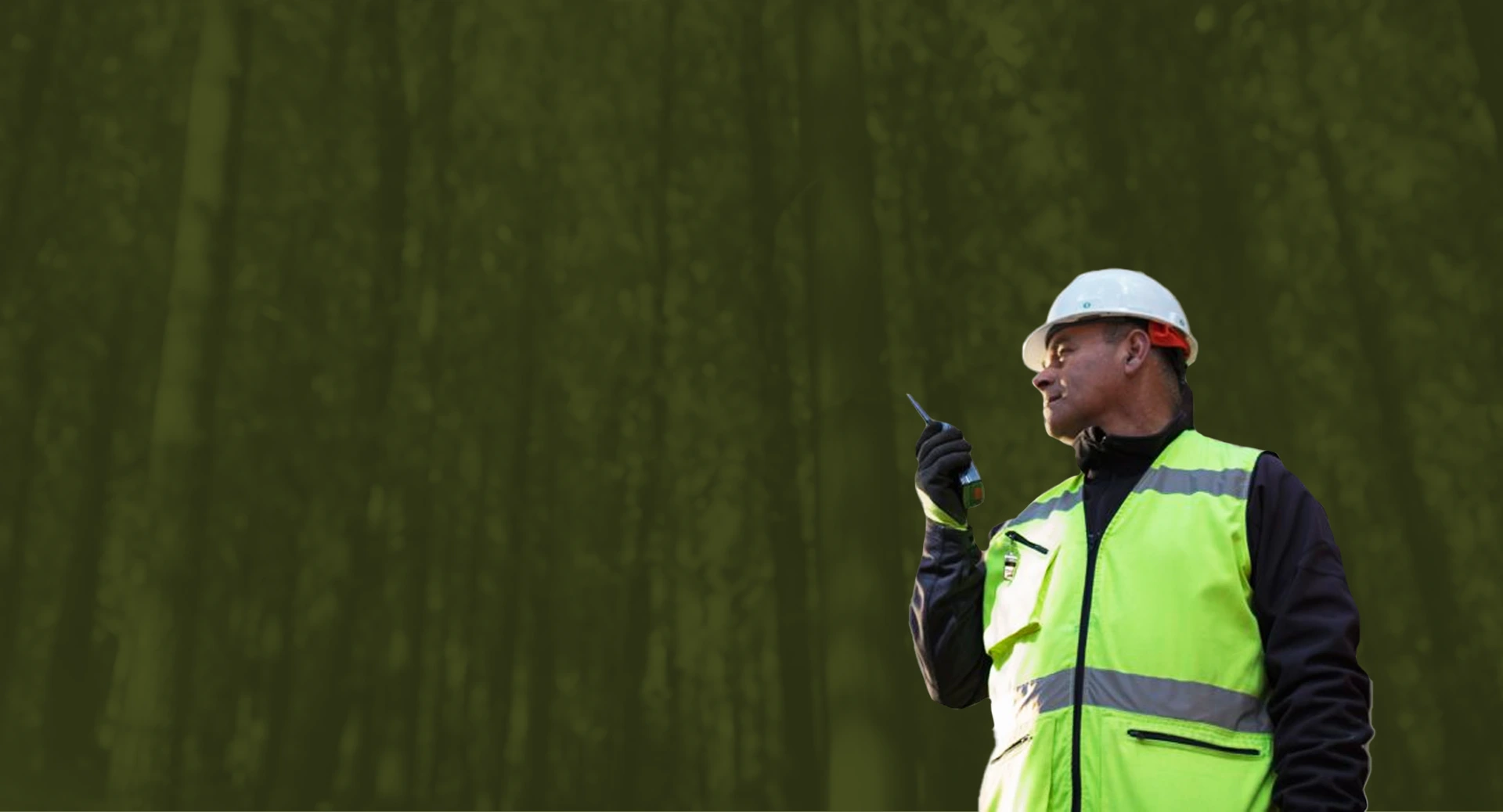 Paisaje natural forestal